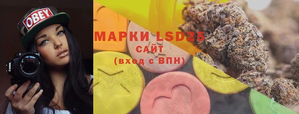 мяу мяу мука Белокуриха