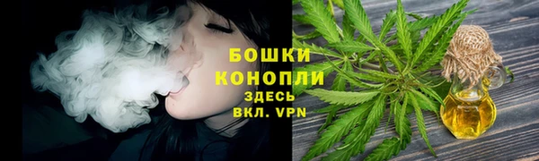 мяу мяу мука Беломорск