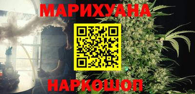 прущие грибы Бийск