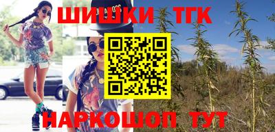 прущие грибы Бийск