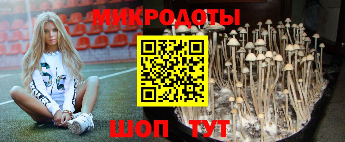 Великий Устюг  Галлюциногенные грибы прущие грибы  Вход с VPN 