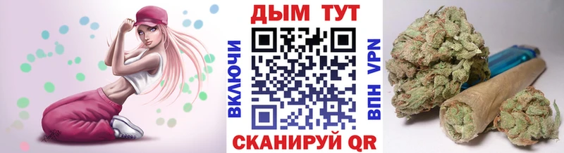 закладка  Великий Устюг  Каннабис ГИДРОПОН 